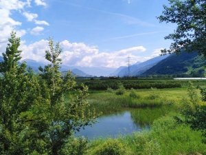 marais_paysage